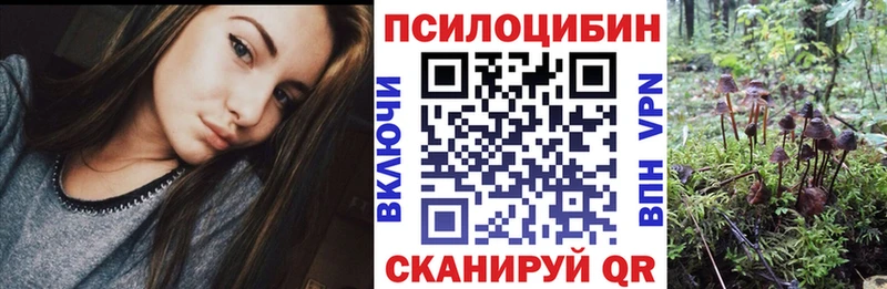 Галлюциногенные грибы Psilocybine cubensis  мега рабочий сайт  Отрадное 