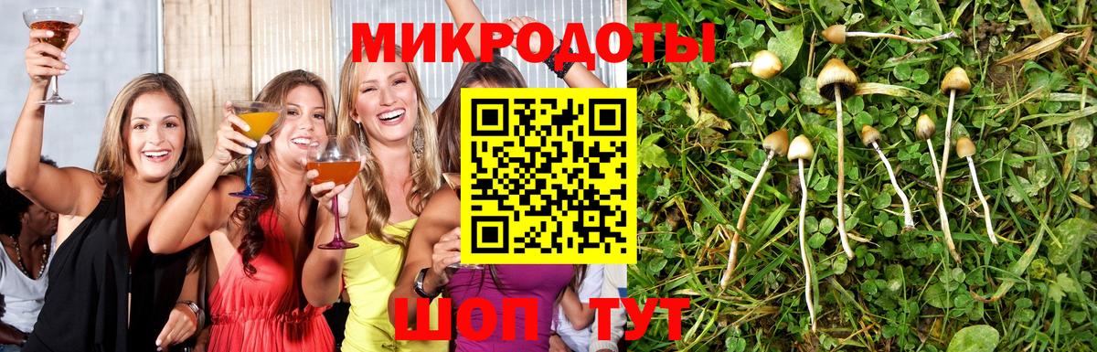 Отрадное  Псилоцибиновые грибы прущие грибы  Галлюциногенные грибы MAGIC MUSHROOMS  Вход с VPN 