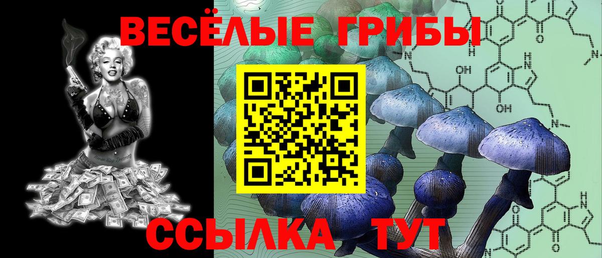 Галлюциногенные грибы мухоморы Отрадное