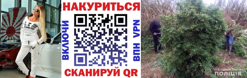 Конопля планчик  omg сайт  Отрадное  наркота 